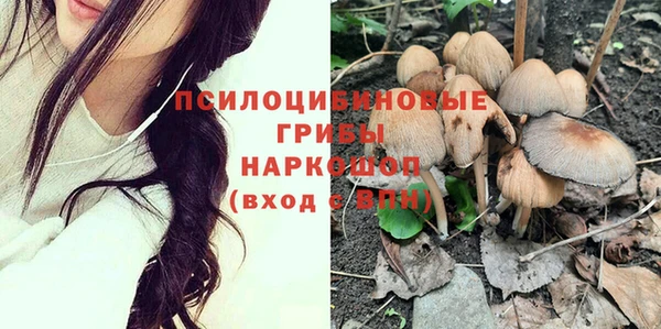 гидропоника Баксан