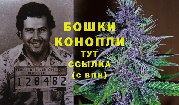гидропоника Баксан